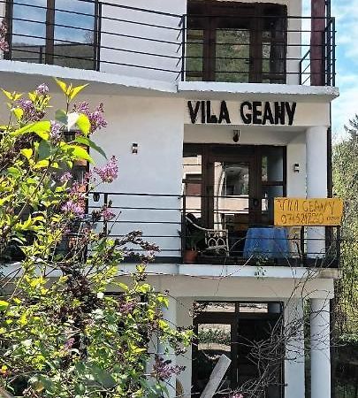 Pensiunea Vila Geany Srl Băile Herculane Εξωτερικό φωτογραφία