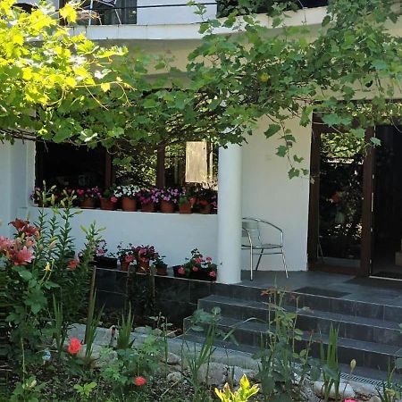 Pensiunea Vila Geany Srl Băile Herculane Εξωτερικό φωτογραφία