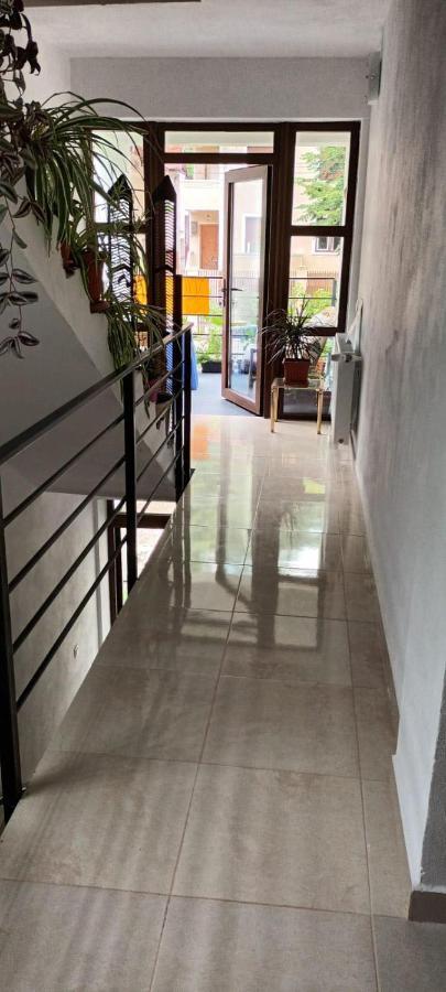 Pensiunea Vila Geany Srl Băile Herculane Εξωτερικό φωτογραφία