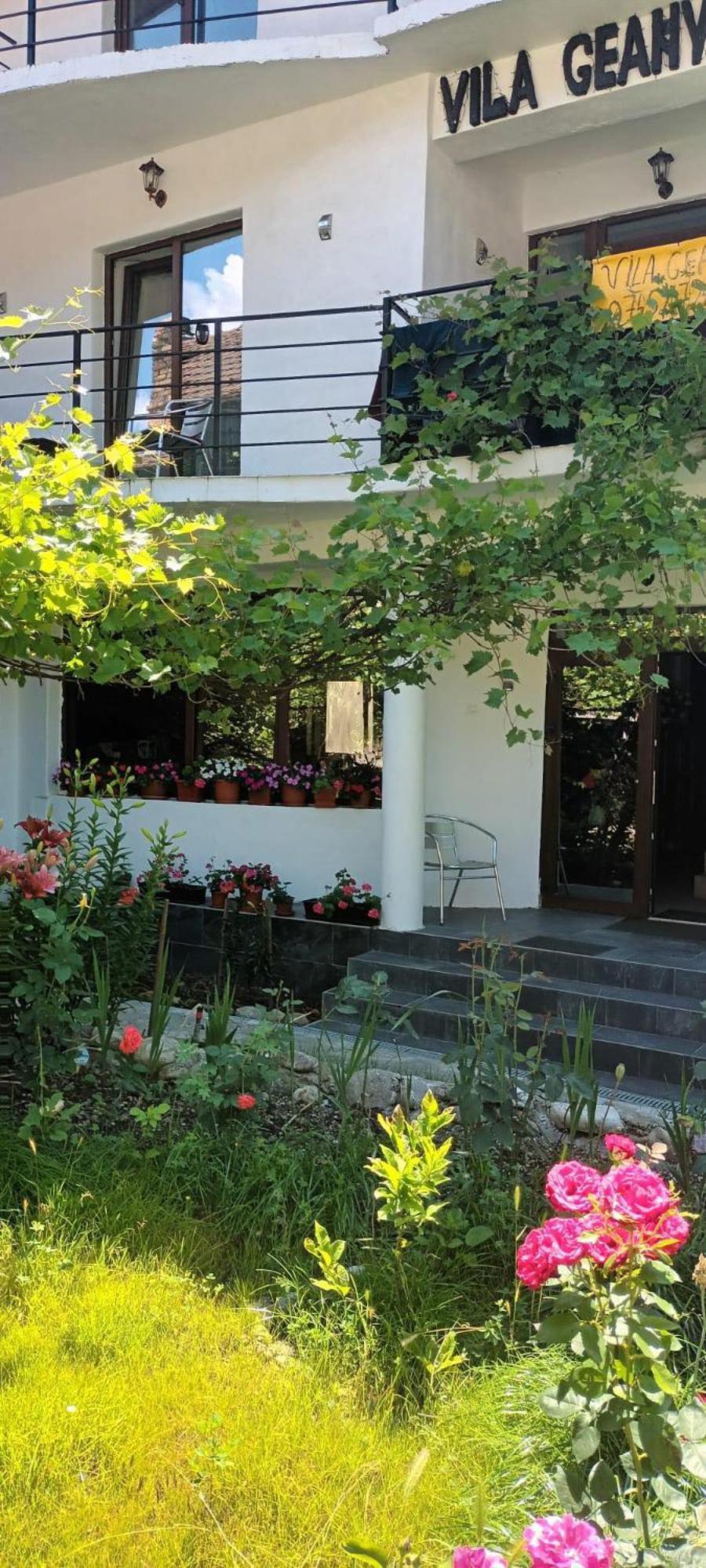 Pensiunea Vila Geany Srl Băile Herculane Εξωτερικό φωτογραφία
